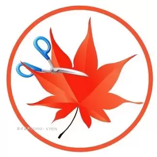 Easy Cut Studio 易剪多语言版插图