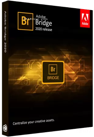 Adobe Bridge 2025 64位多语言版插图