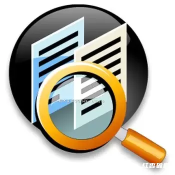 Duplicate File Detective重复文件检测工具专业/企业/服务器版插图