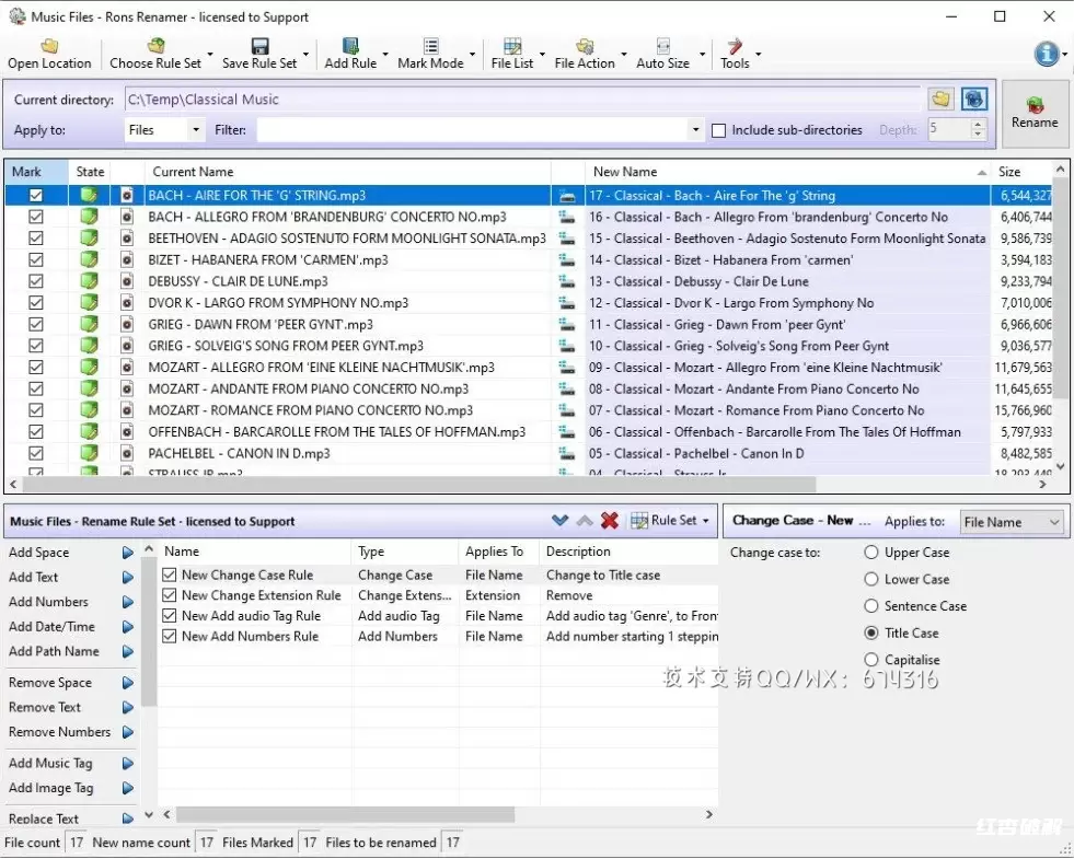 Rons Renamer Pro 朗斯更名器专业版插图