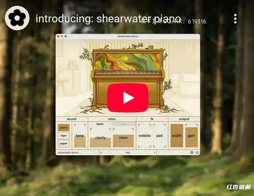 Imagiro Shearwater Piano幻影剪水钢琴插图