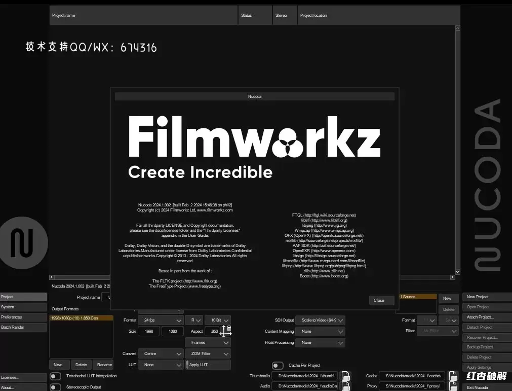 专业调色功能Filmworkz Nucoda插图1