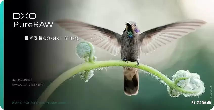 DxO PureRAW纯净RAW多语言版插图