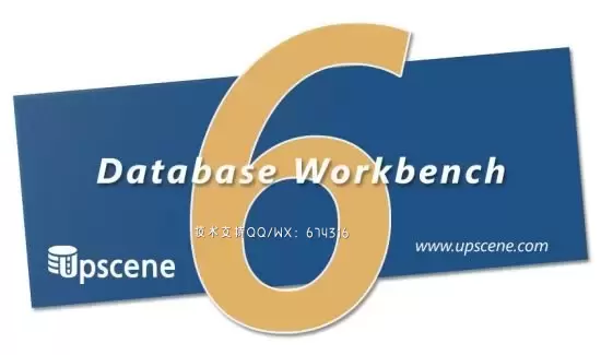 数据库工作台专业版Database Workbench Pro插图