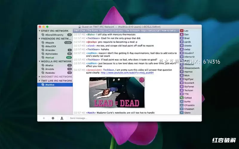 Textual 终端应用程序Mac系统插图