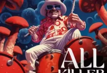 白金唱片制作人Shroom打造的终极鼓点音效包-红杏下载