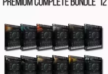 好莱坞音频设计高级完整包-红杏下载