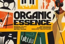 格莱美获奖录音棚实录6大音色精选素材包-红杏下载