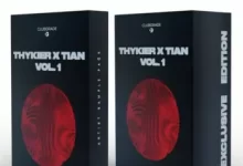 融合了THYKIER和TIAN 音色采样包-红杏下载