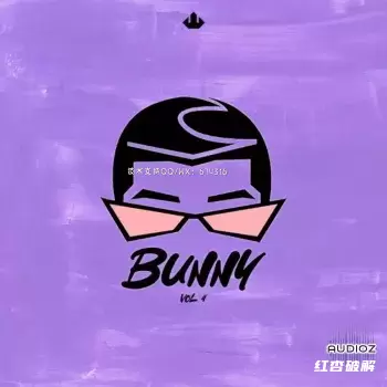 「BUNNY Vol. 4」雷鬼顿音源包插图