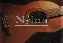 超越传统的尼龙吉他音色库-红杏下载