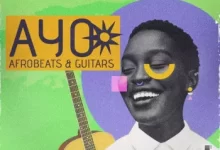 吉他的Afrobeat风格采样包-红杏下载