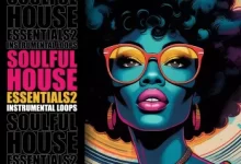 独特的复古音源包-红杏下载