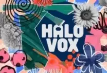 音源工具-红杏下载