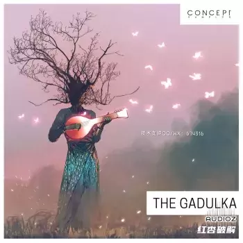 传统巴尔干弦乐器独特的 Gadulka 民间歌曲插图