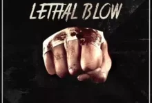 拳拳到肉的震撼：Lethal Blow 专业动作打击音效库-红杏下载