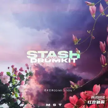 《鼓音源库》音频素材插图